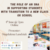 The Role of an SNA in Supporting Students with Transition to a New Class or School