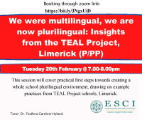 'We were multilingual, we are now plurilingual': Insights and Practices from the TEAL Project, Limerick
