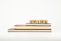 Gramadach na Gaeilge do Mhúinteoirí Bunscoile