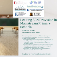 Leading SEN Provision in Mainstream Primary Schools Webinar