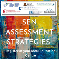 Creating Pupil Profiles for SEN Provision Through Effective Assessment Approaches