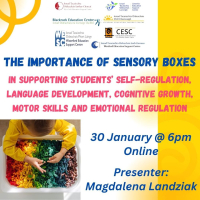 The importance of sensory boxes in supporting students’ self-regulation, language development, cognitive growth, motor skills and emotional regulation