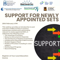 Support for Newly Appointed Special Education Teachers (SETs) in Primary Schools Webinar