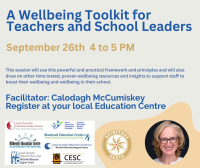 A Wellbeing Toolkit for Teachers and School Leaders